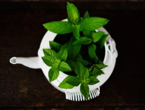 Les grands avantages pour la santé de boire du thé