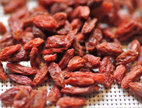 Baies de Goji : les avantages pour la santé