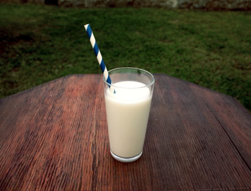 Quel type de lait devrais-je boire?