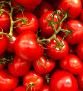 Les tomates : un aliment pour une vie saine