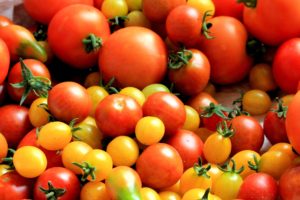 Les tomates : un aliment pour une vie saine