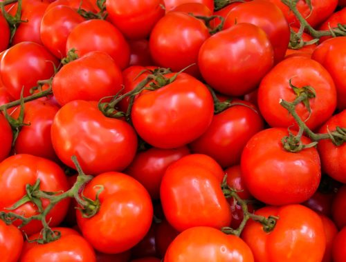 Les tomates : un aliment pour une vie saine