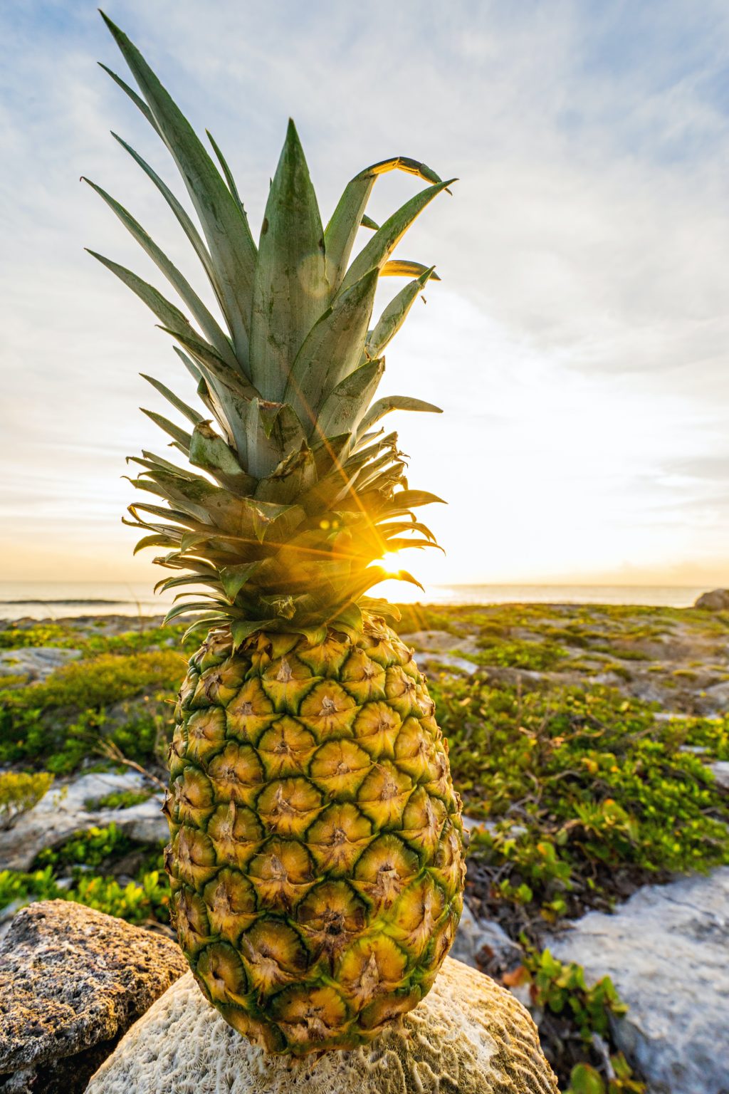 Ananas - 6 avantages cachés d&amp;#39;un fruit tropical. - Naturaforme