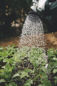 Top 3 des activités pour sensibiliser ses enfants à écologie