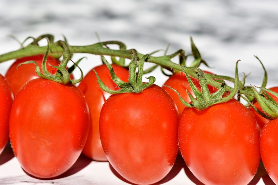 Tomates : quels avantages pour notre santé?