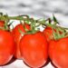 Tomates : quels avantages pour notre santé?