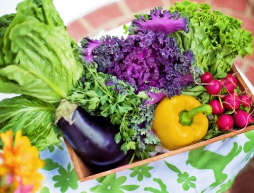 Les 10 légumes les plus nutritifs