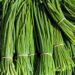 La ciboulette : une herbe aromatique polyvalente et délicieuse.