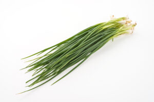 La ciboulette : une herbe aromatique polyvalente et délicieuse.