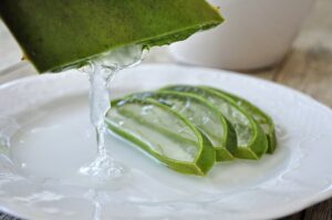 Aloe Vera : histoire, bienfaits, utilisations et futur