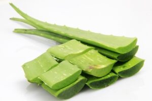 Aloe Vera : histoire, bienfaits, utilisations et futur