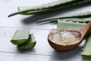 Aloe Vera : histoire, bienfaits, utilisations et futur