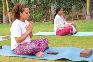 Méditation : cultiver vitalité et équilibre au quotidien